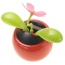 Solar Flower Toy (Pink)