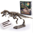 Dinosaur Skeleton Fossil Excavation Kit (T-Rex)