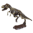 Dinosaur Skeleton Fossil Excavation Kit (T-Rex)