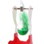 Glass Drinking Bird (Green)